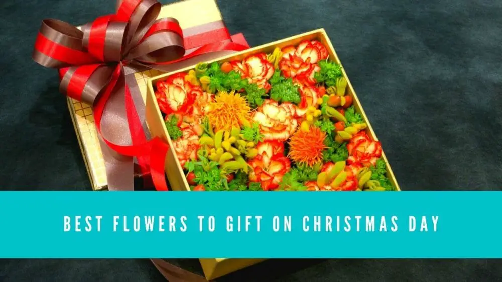 Best Flowers to Gift on Christmas Day blog banner